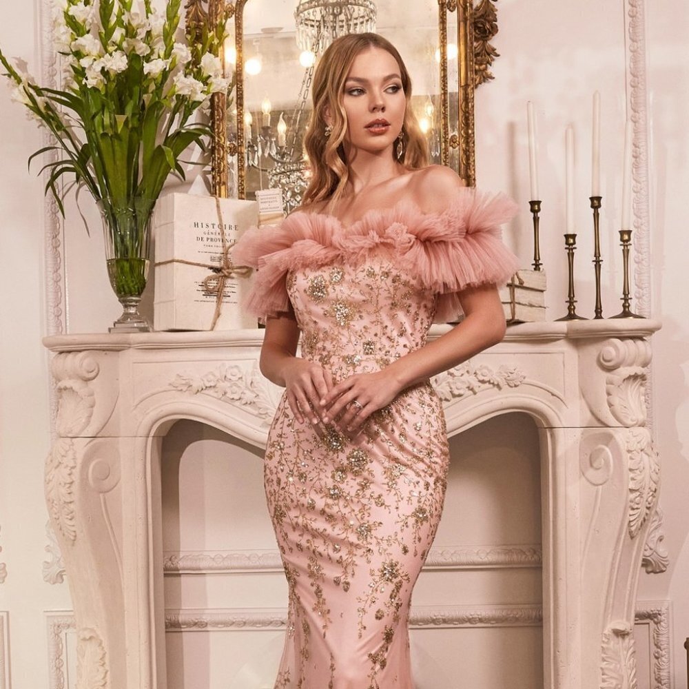 NEW FLOOR LENGTH OFF THE SHOULDER SLEEVELESS TULLE GOWN WITH ZIPPER BACK CD J818